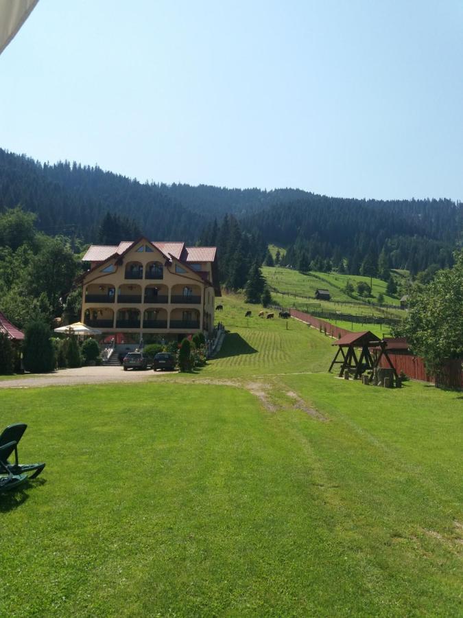 Hotel Pensiunea Alunis à Sadová Extérieur photo