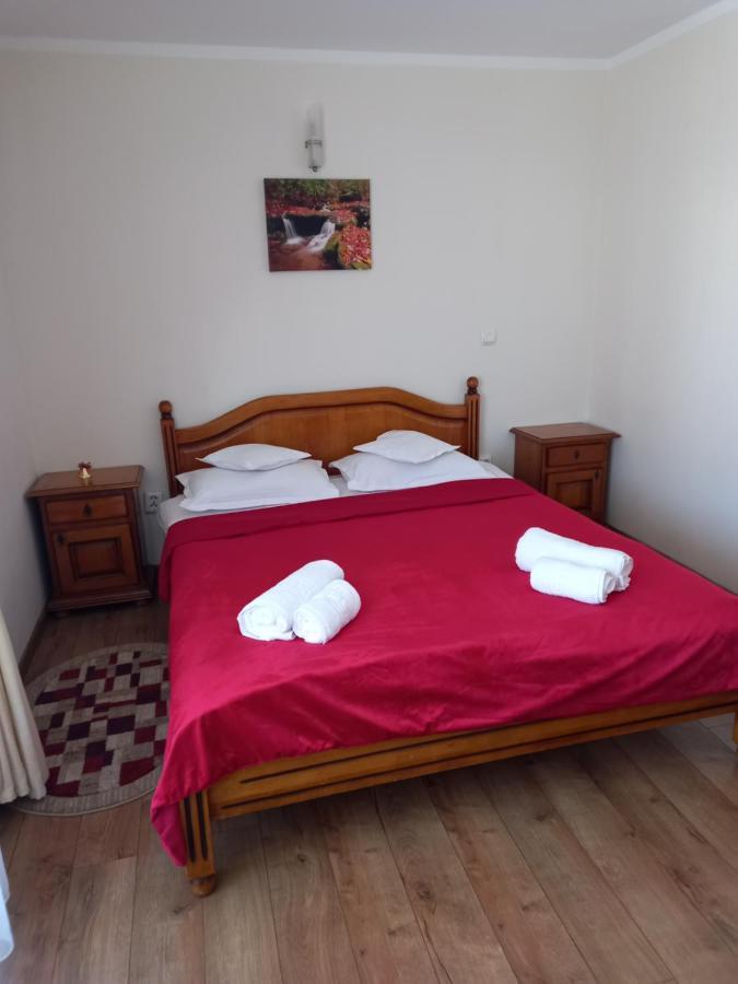 Hotel Pensiunea Alunis à Sadová Extérieur photo