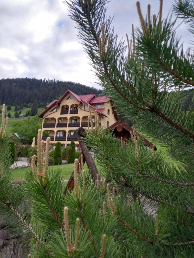 Hotel Pensiunea Alunis à Sadová Extérieur photo