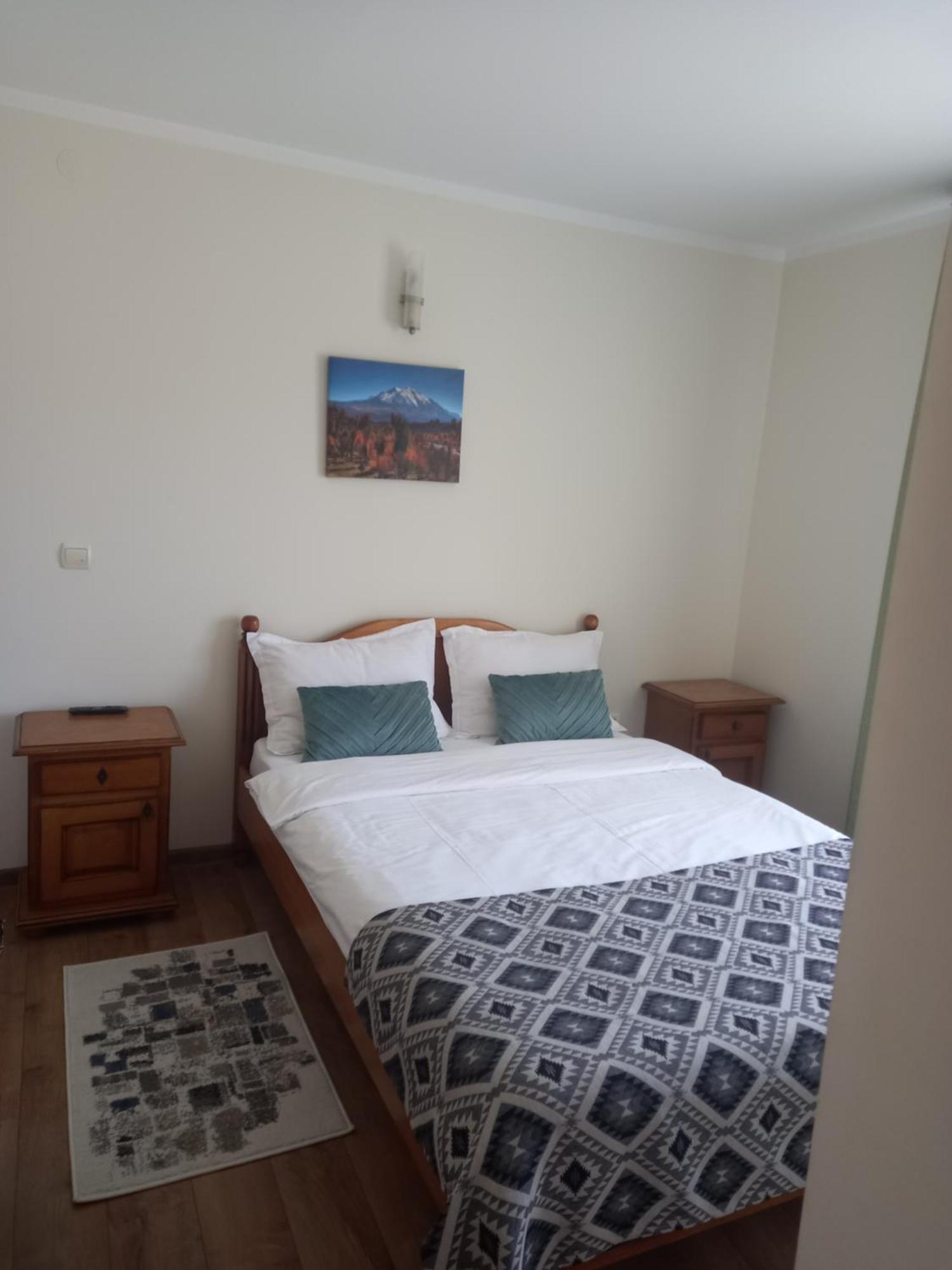 Hotel Pensiunea Alunis à Sadová Extérieur photo