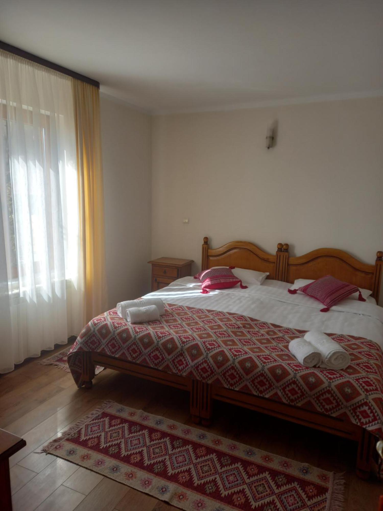 Hotel Pensiunea Alunis à Sadová Extérieur photo