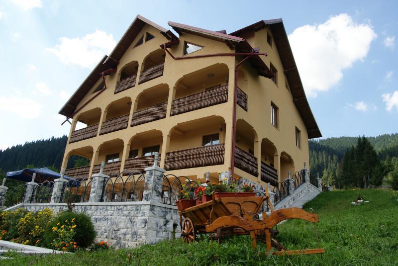 Hotel Pensiunea Alunis à Sadová Extérieur photo