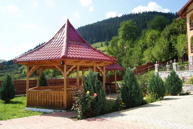 Hotel Pensiunea Alunis à Sadová Extérieur photo
