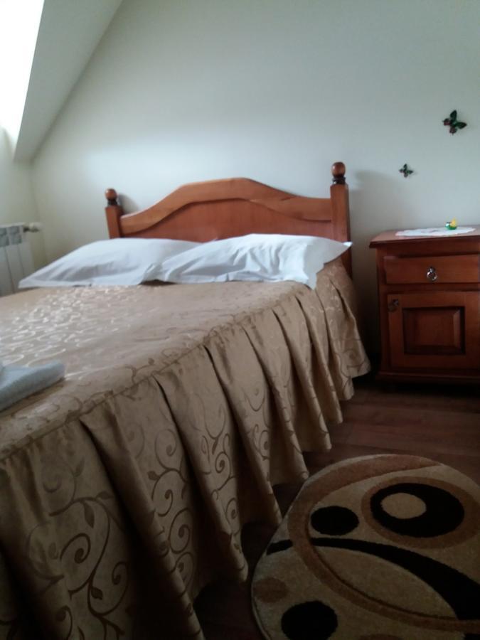 Hotel Pensiunea Alunis à Sadová Extérieur photo