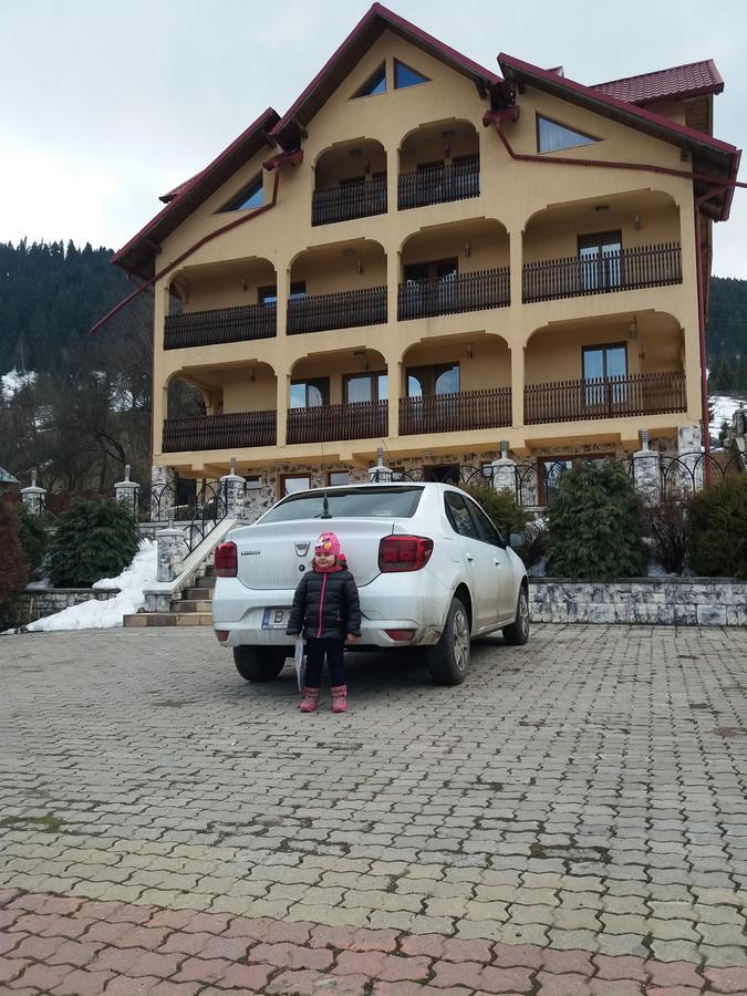 Hotel Pensiunea Alunis à Sadová Extérieur photo