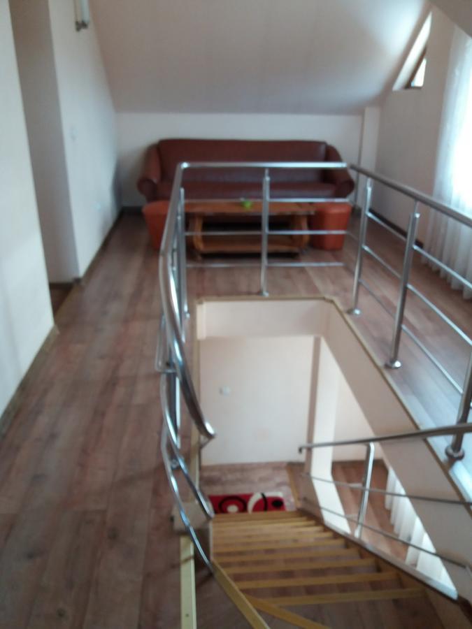 Hotel Pensiunea Alunis à Sadová Extérieur photo