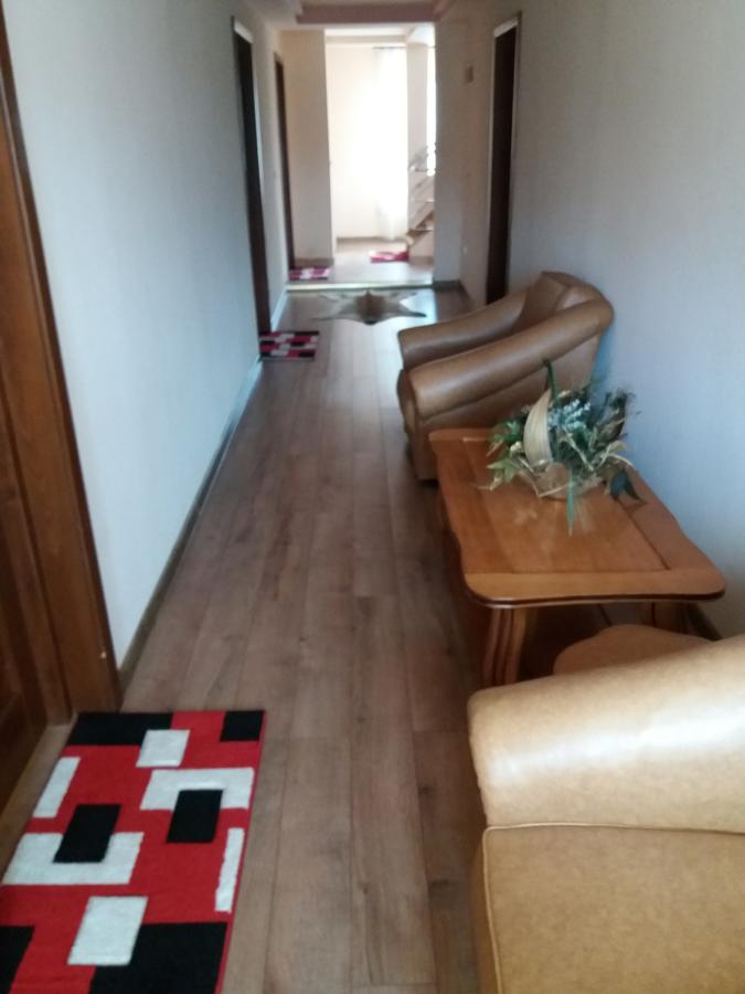 Hotel Pensiunea Alunis à Sadová Extérieur photo